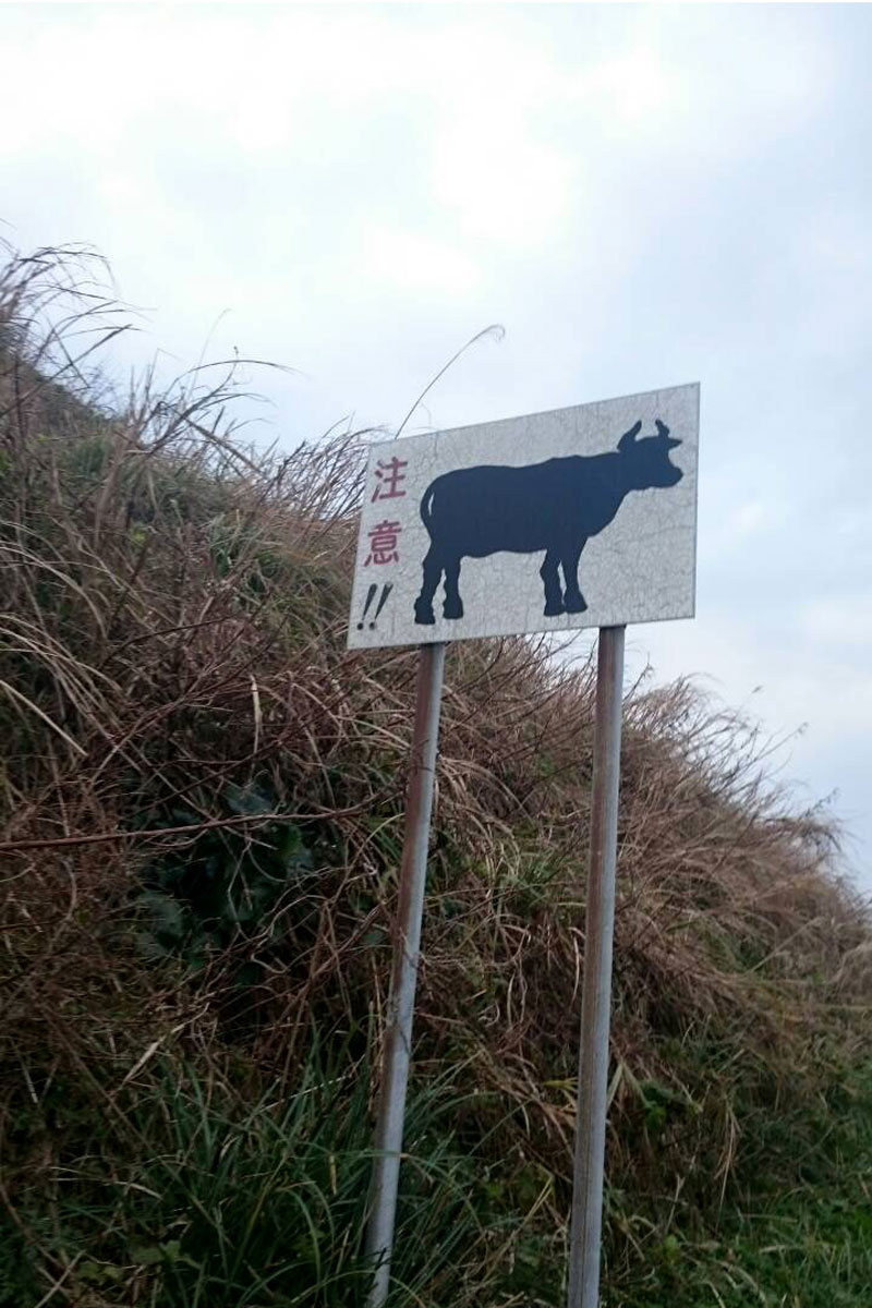 牛注意！！！